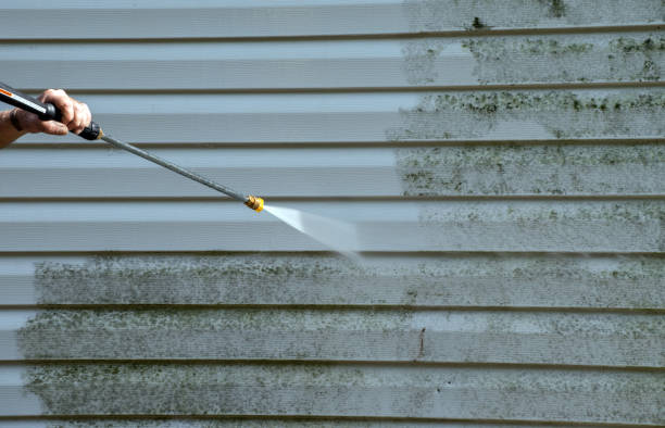 Solar Panel Cleaning in Palmview South, TX