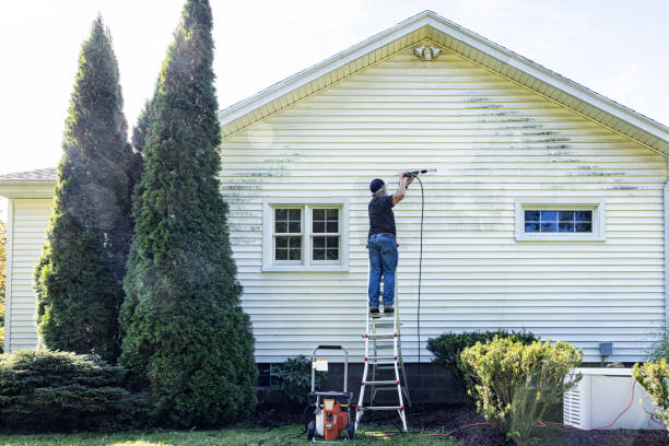 Best Spring Cleaning  in Palmview South, TX